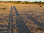 shadows on the sand