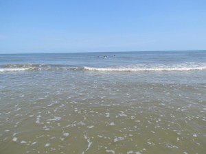 beaufort, hilton head 101