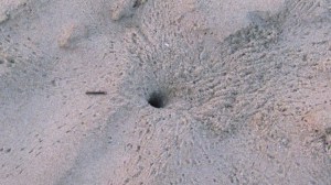 sandbridge, Aug. 2, 2012 051