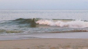 sandbridge, Aug. 2, 2012 060