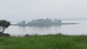 transition photos 026