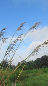 transition photos 042