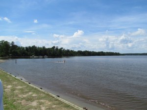 two weeks in williamsburg 001