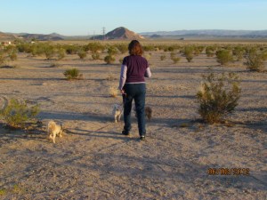 barstow, ca to kingman, az 020