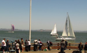 One perfect San Francisco day