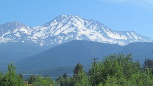 Mt. Shasta