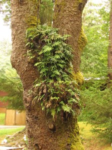 Florence to Brookings, boat, LOTS, Aug. 2013 077