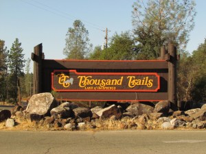 swimming hole, oaks, cows, million dollar homes 045