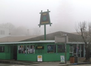 Evidence that real old hippies live here. Young ones too.