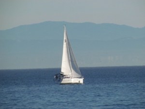 One of many sailboats