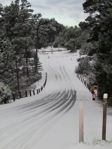 tire tracks down the hill