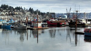 fishing fleet