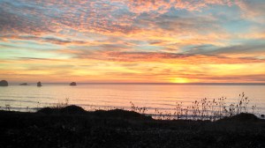 Near Humbug Mountain--Don't laugh. It's really beautiful here!