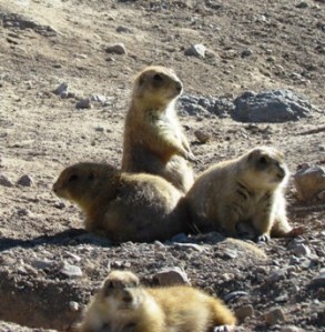 What? What's going on out here?