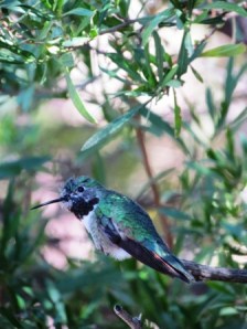 Yes. I know I'm beautiful.