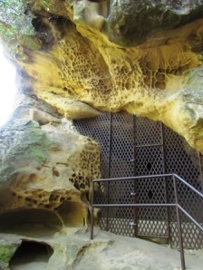entrance to the cave