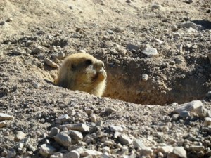 Yeah. I got my stash and nobody's botherin me!