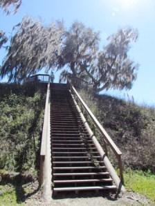 meditation stairs