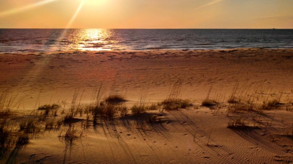 IMG_20140505_095224.jpg image