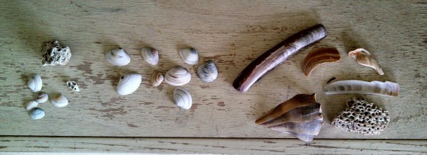 IMG_20140505_184155_629-1.jpg image