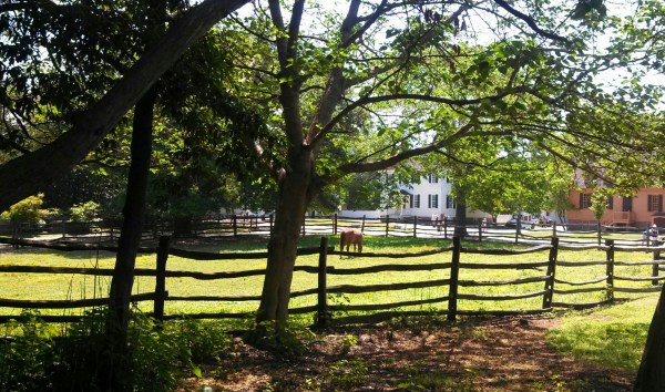 IMG_20140513_112414_411-1.jpg image