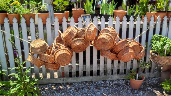 IMG_20140513_120238_017.jpg image