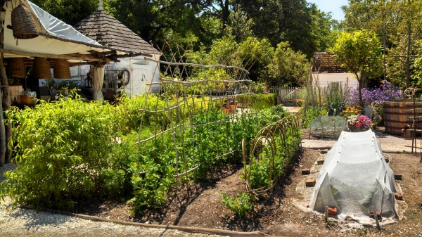 IMG_20140513_120318_141.jpg image