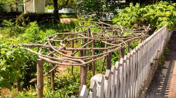 IMG_20140513_120407_586.jpg image