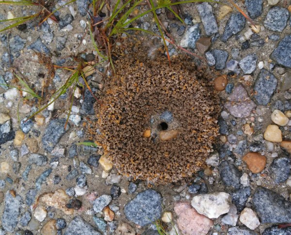 IMG_20140522_082415_142-1.jpg image