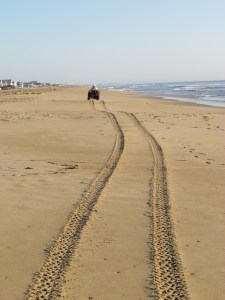 dune buggy heading north