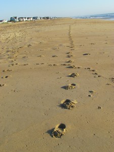 runner's footprints