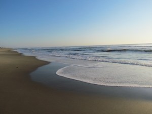 tide coming in? or going out?