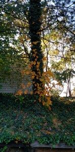 Just hangin' out, lookin' pretty...