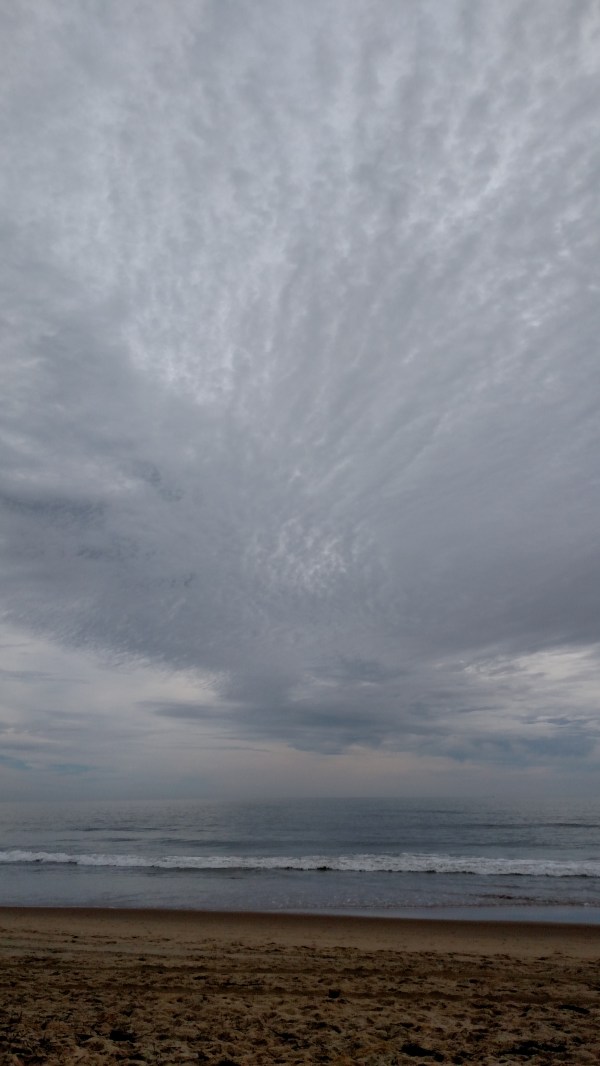 IMG_20170804_100549980